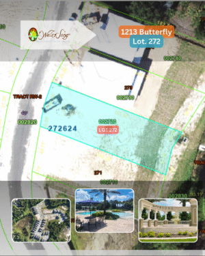 1213 Butterfly - Lot 272