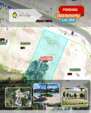 1422 Butterfly - Lot 252