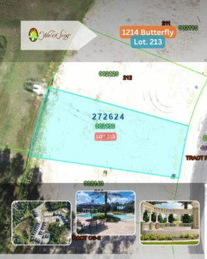 1214 Butterfly - Lot 213