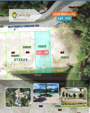 1233 Butterfly - Lot 269