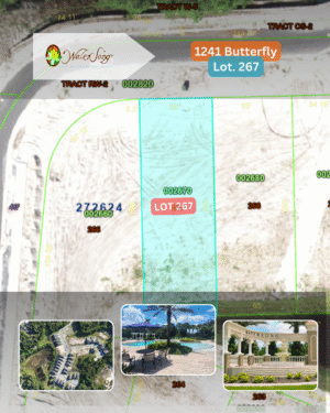 1241 Butterfly - Lot 267