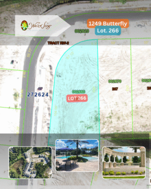 1249 Butterfly - Lot 266