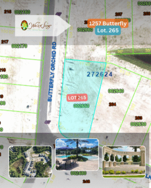 1257 Butterfly - Lot 265