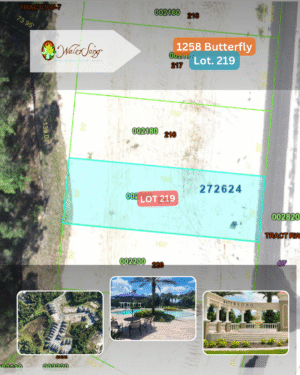 1258 Butterfly - Lot 219