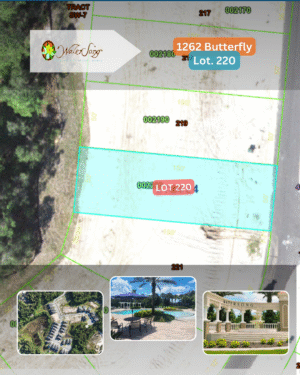 1262 Butterfly - Lot 220