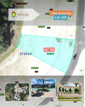 1266 Butterfly - Lot 221