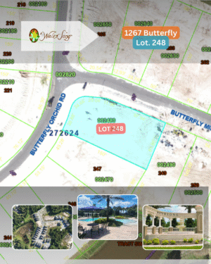 1267 Butterfly - Lot 248