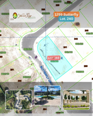 1299 Butterfly - Lot 240