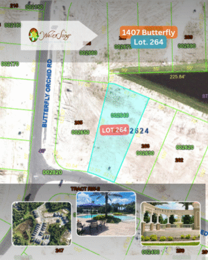 1407 Butterfly - Lot 264