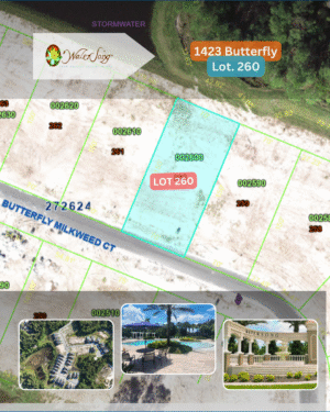 1423 Butterfly - Lot 260