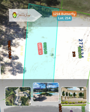 1218 Butterfly - Lot 214