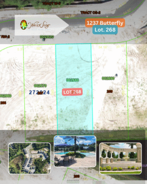 1237 Butterfly - Lot 268