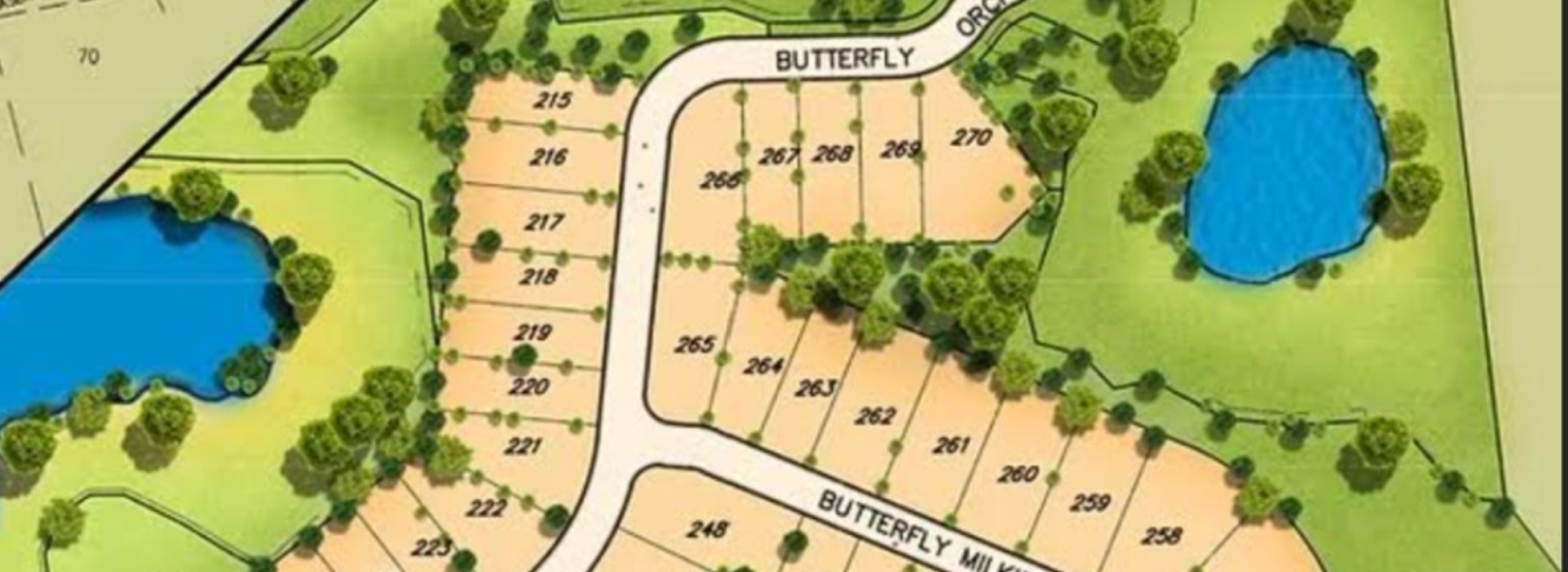 1213 Butterfly - Lot 272