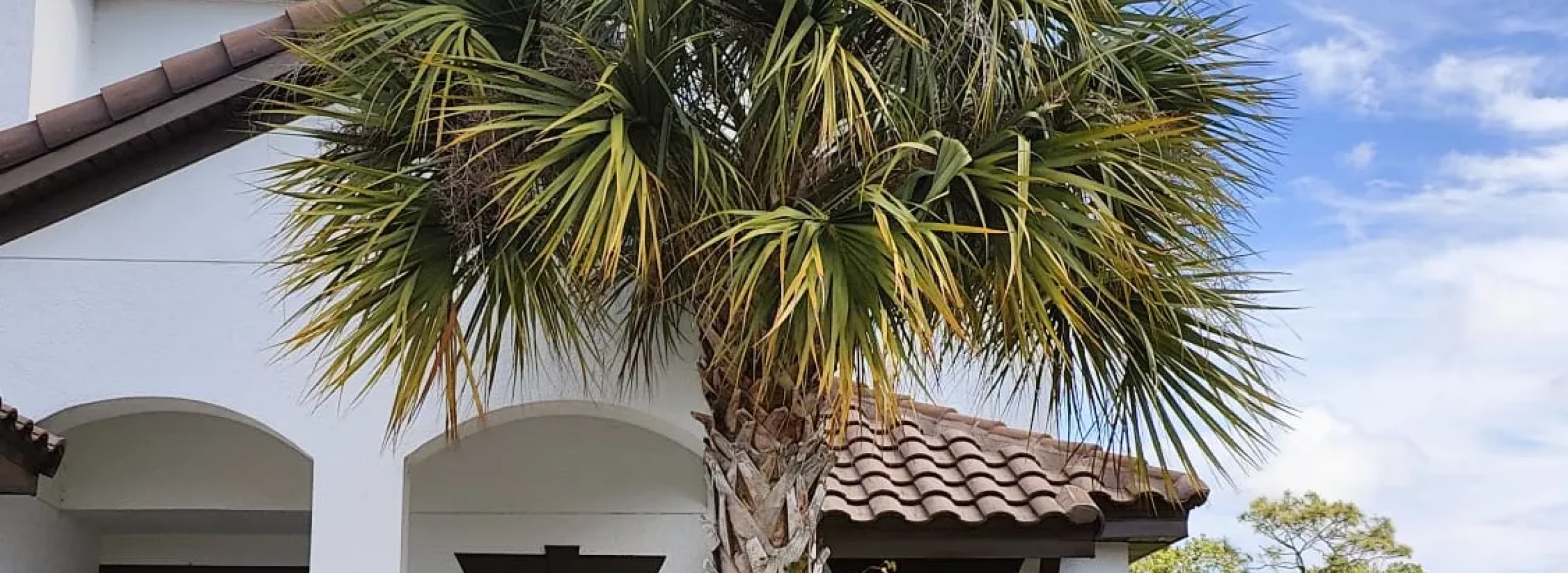 Landscaping_resultado