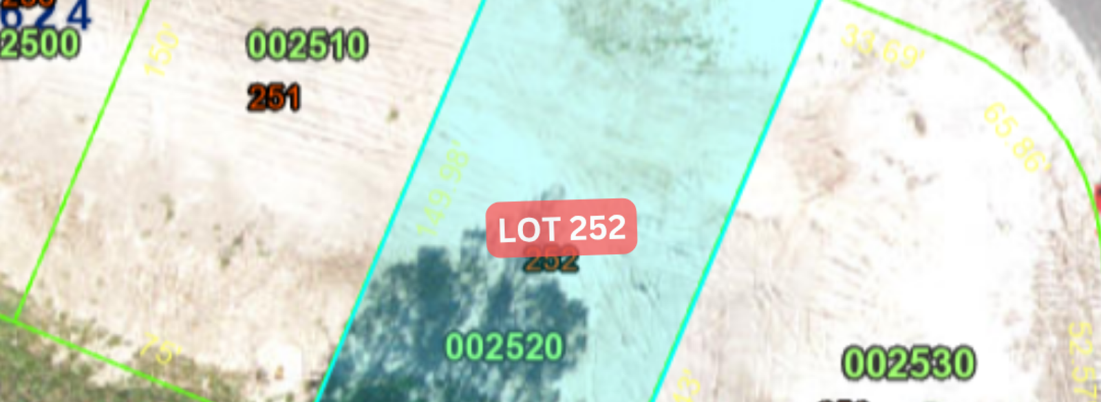 Lot. 252 - 1422 Butterfly