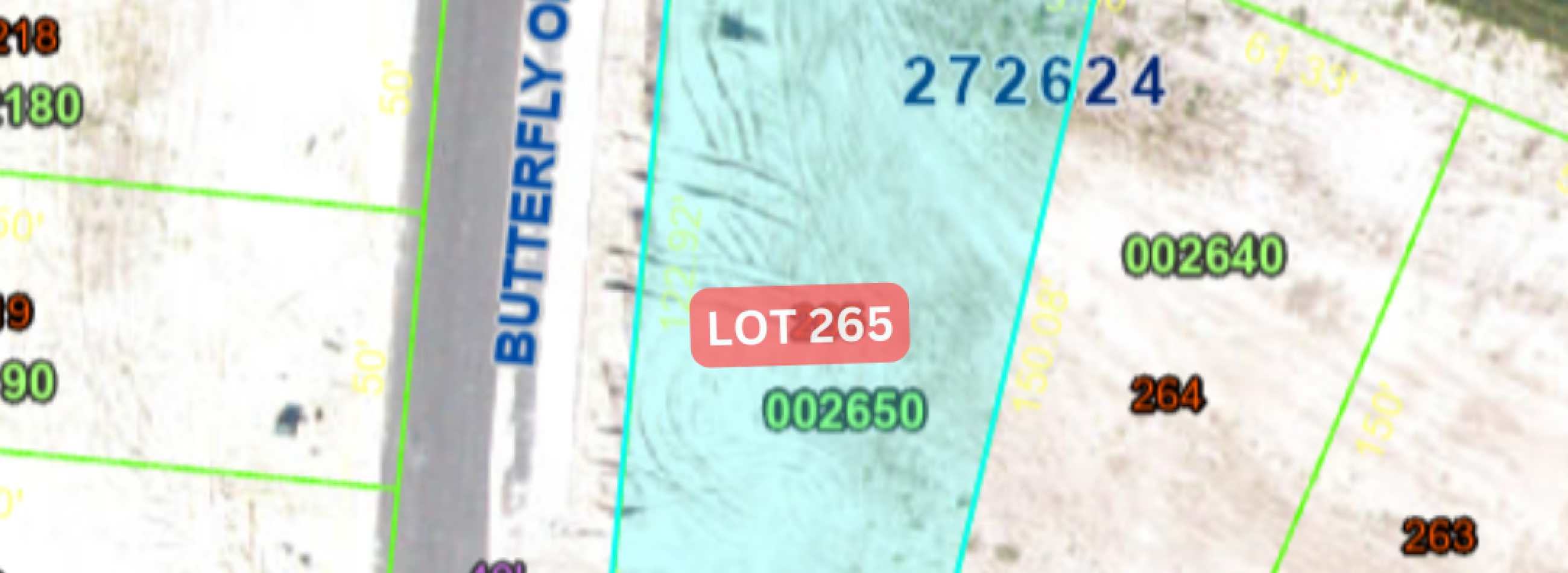 Portada - 1257 Butterfly - Lot 265