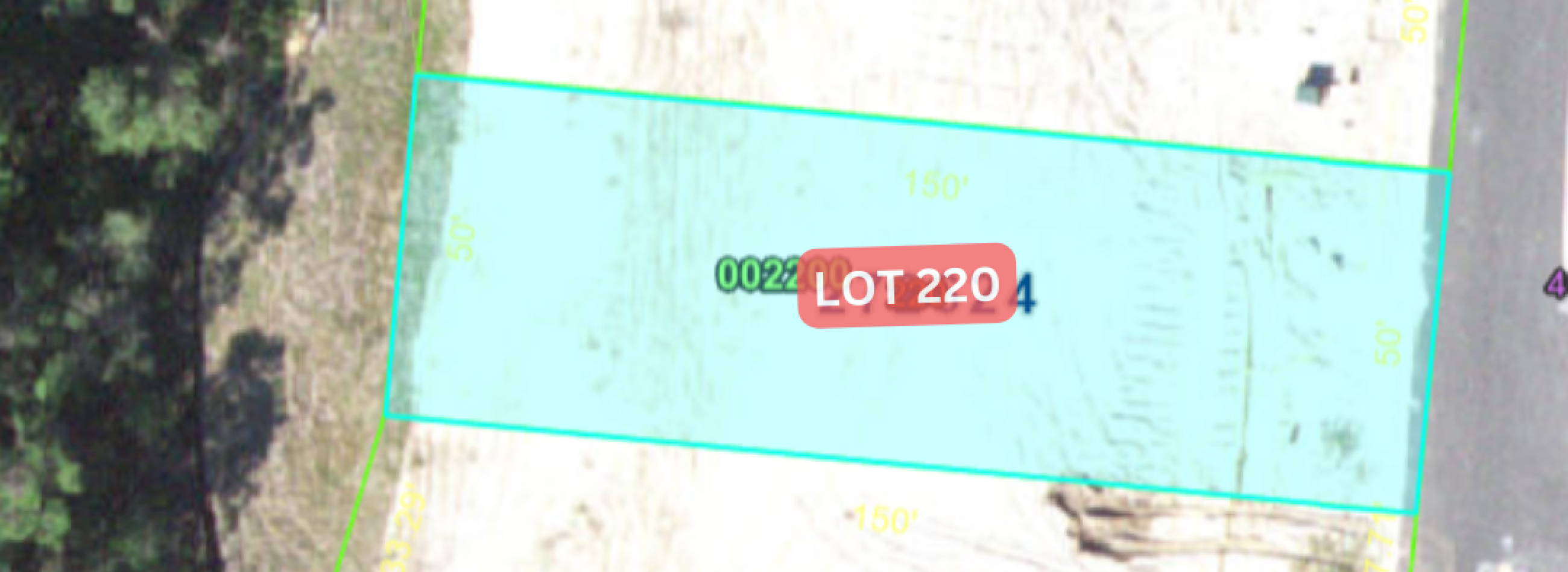 Portada - 1262 Butterfly - Lot 220