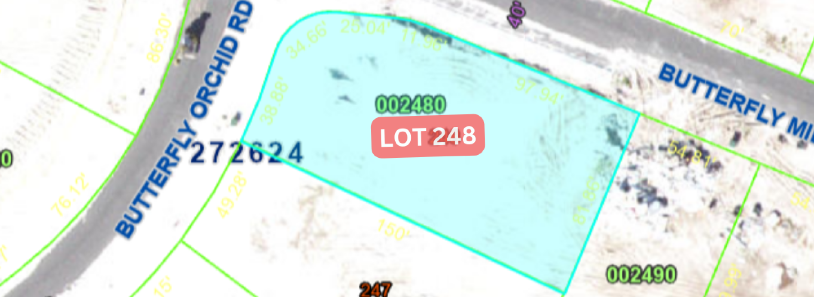 Portada - 1267 Butterfly - Lot 248