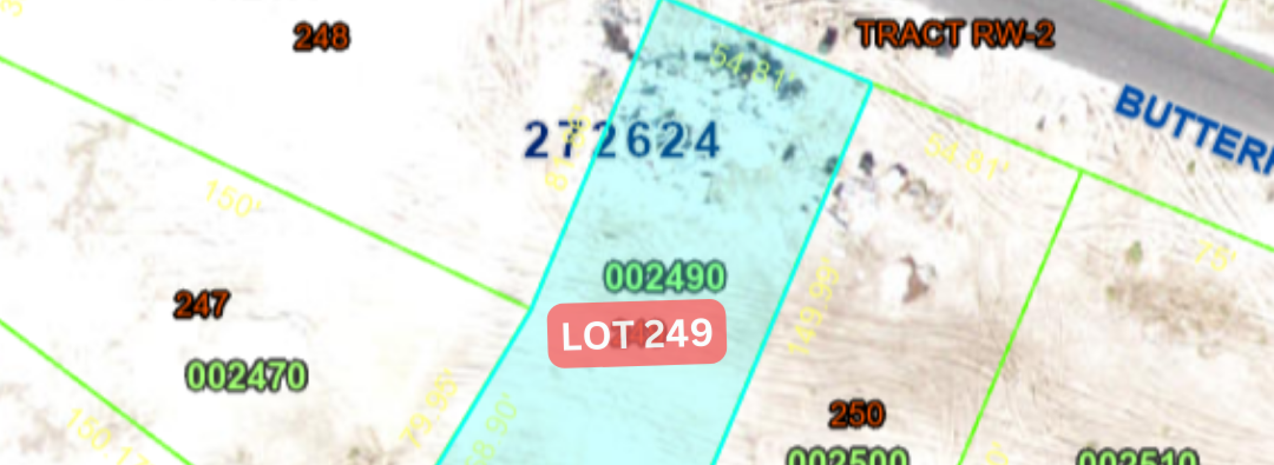 Portada - 1410 Butterfly - Lot 249