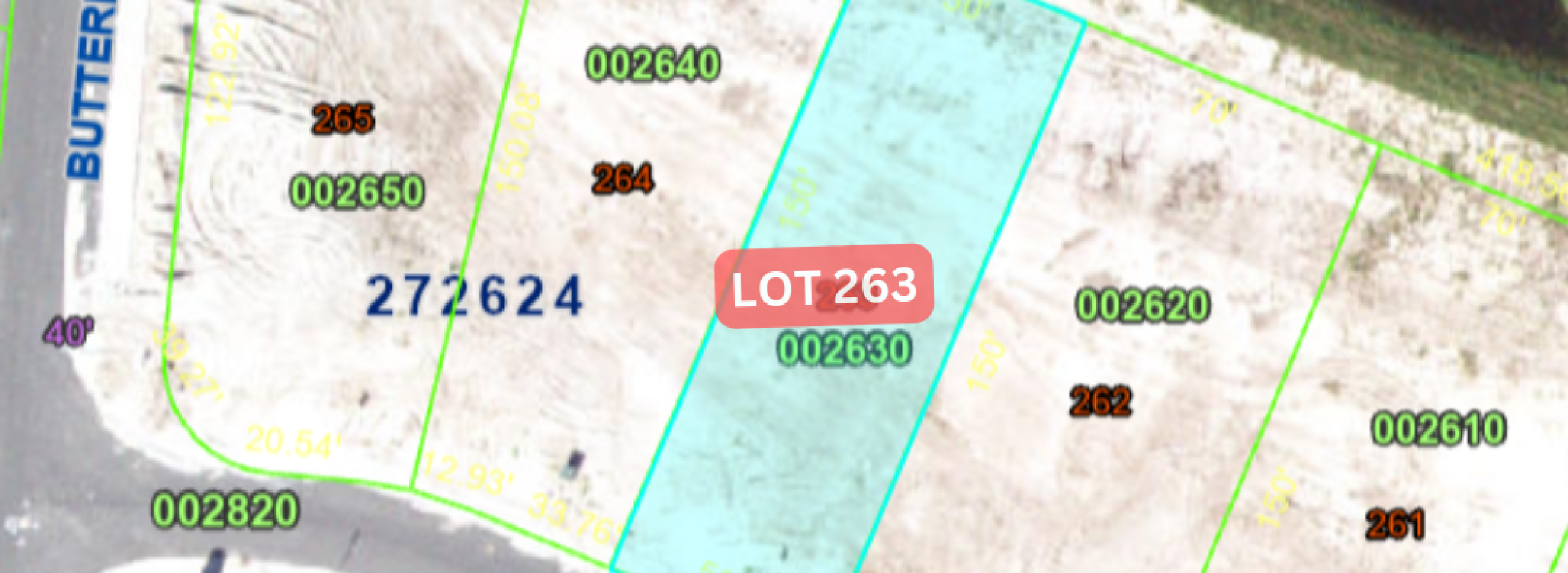 Portada - 1411 Butterfly - Lot 263